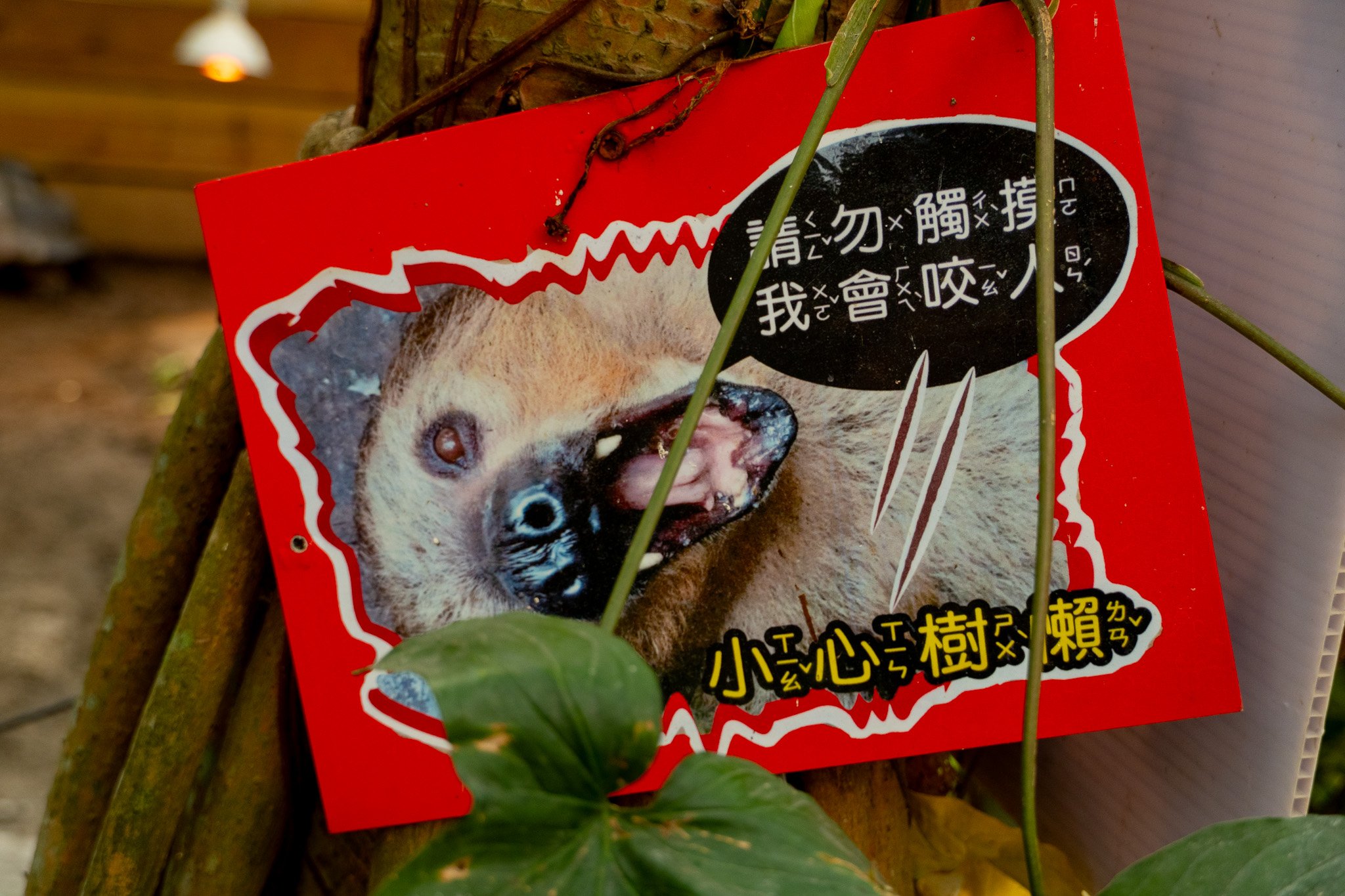 新竹|綠世界生態農場|新竹親子景點推薦 寓教於樂又好拍的自然探索行程一次收錄! 新竹|綠世界生態農場|新竹親子景點推薦 寓教於樂又好拍的自然探索行程一次收錄!