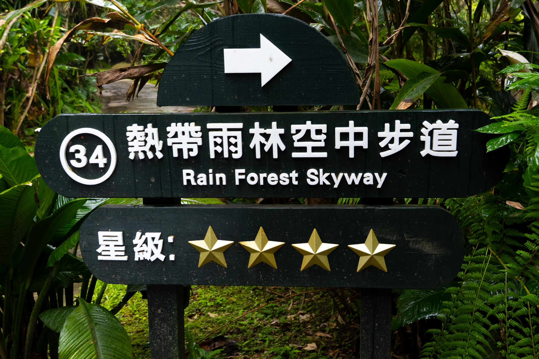 新竹|綠世界生態農場|新竹親子景點推薦 寓教於樂又好拍的自然探索行程一次收錄! 新竹|綠世界生態農場|新竹親子景點推薦 寓教於樂又好拍的自然探索行程一次收錄!