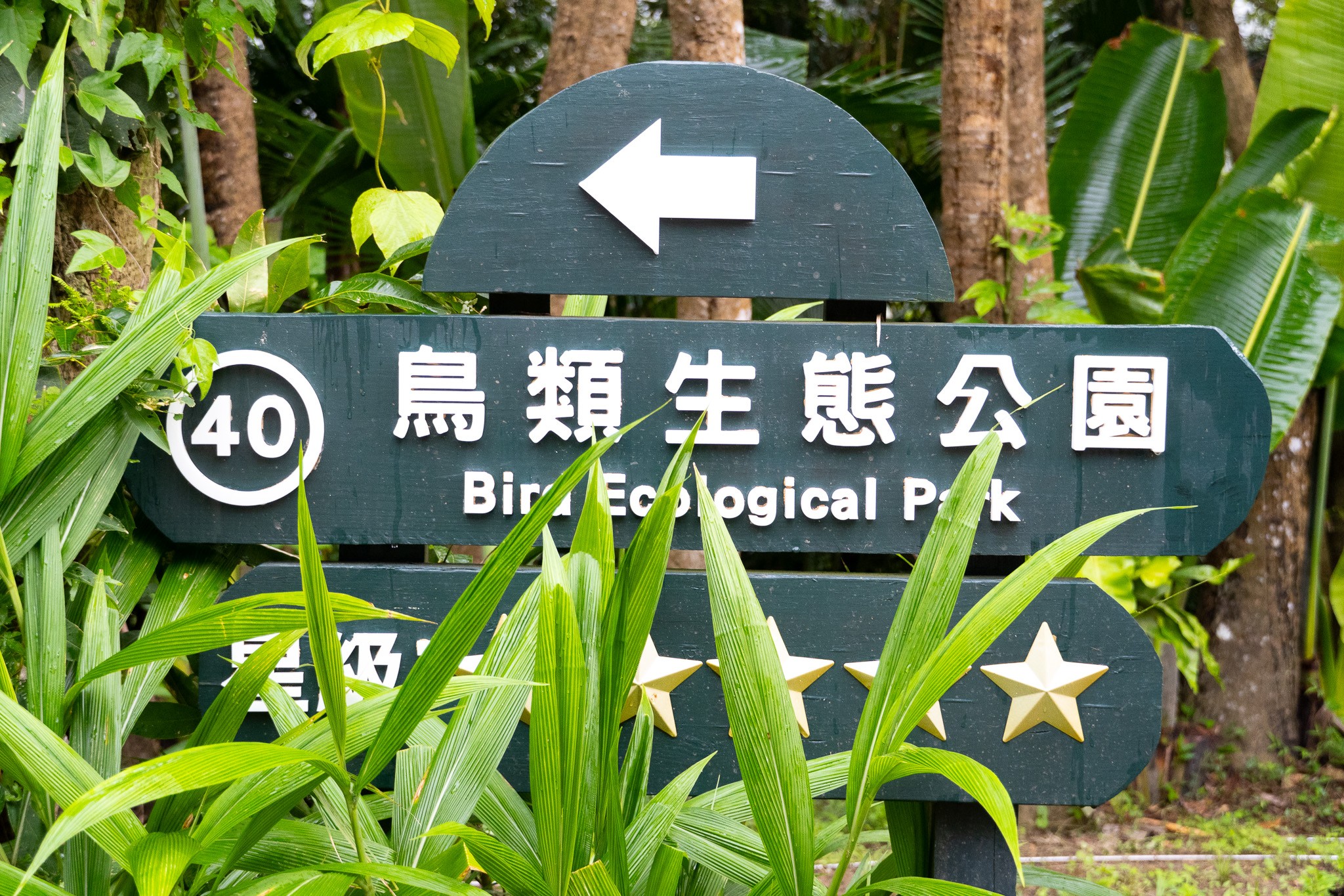 新竹|綠世界生態農場|新竹親子景點推薦 寓教於樂又好拍的自然探索行程一次收錄! 新竹|綠世界生態農場|新竹親子景點推薦 寓教於樂又好拍的自然探索行程一次收錄!