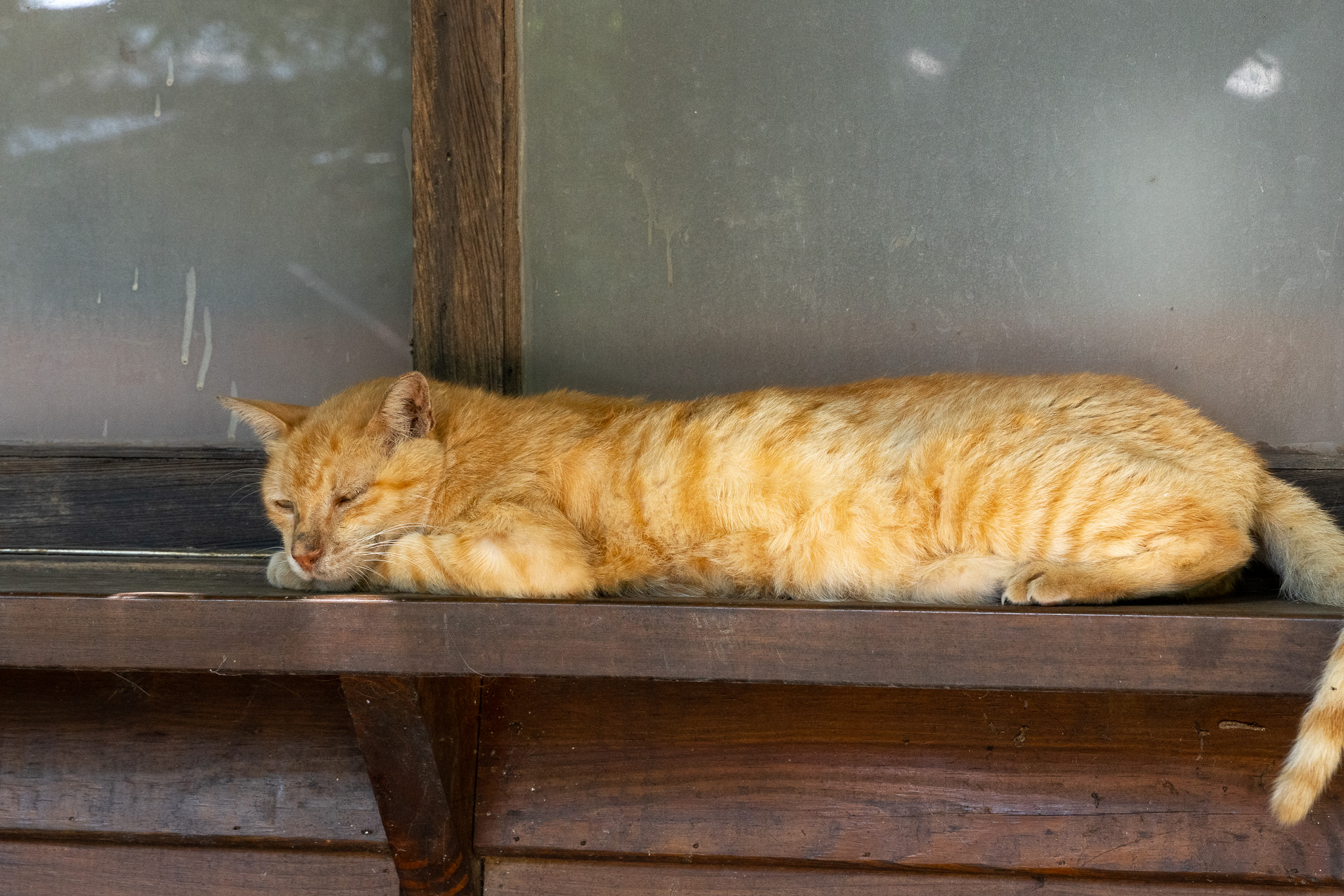 台中｜人間食解生態養生坊｜穿越時空的美食饗宴 沙鹿隱藏版生態餐廳 健康養生套餐一次滿足身心靈