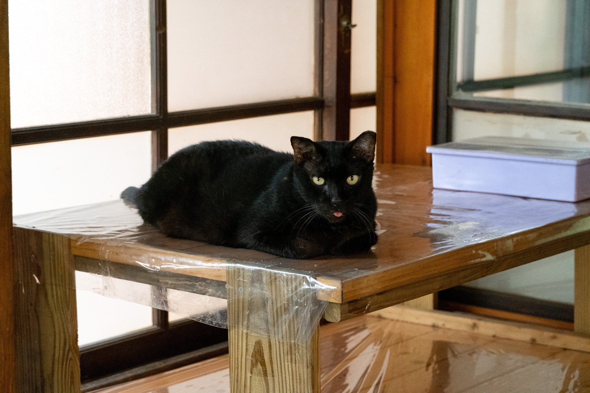 台中｜人間食解生態養生坊｜穿越時空的美食饗宴 沙鹿隱藏版生態餐廳 健康養生套餐一次滿足身心靈