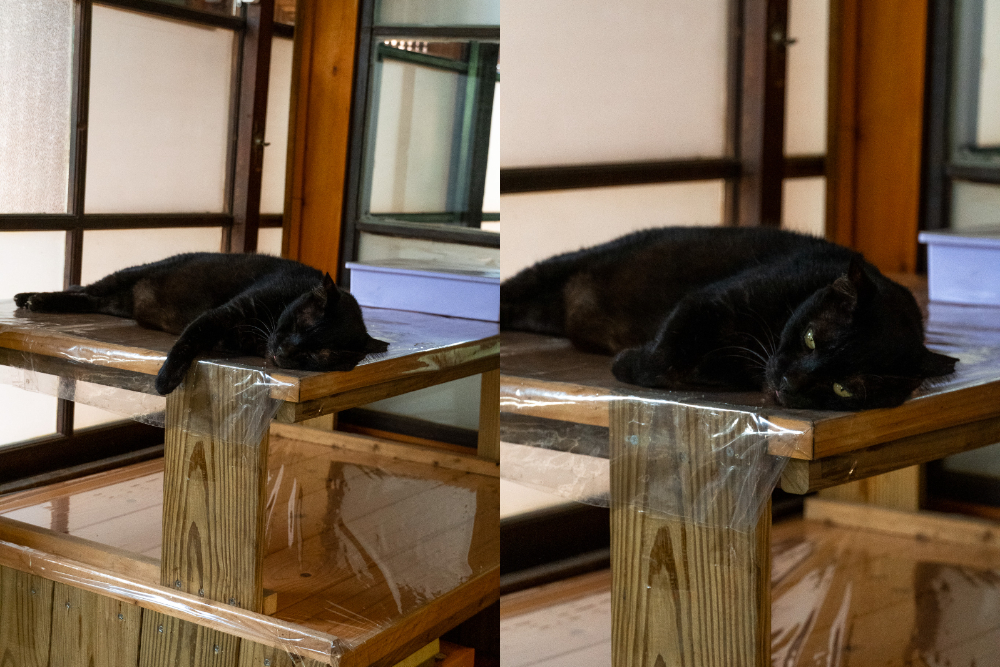 台中｜人間食解生態養生坊｜穿越時空的美食饗宴 沙鹿隱藏版生態餐廳 健康養生套餐一次滿足身心靈