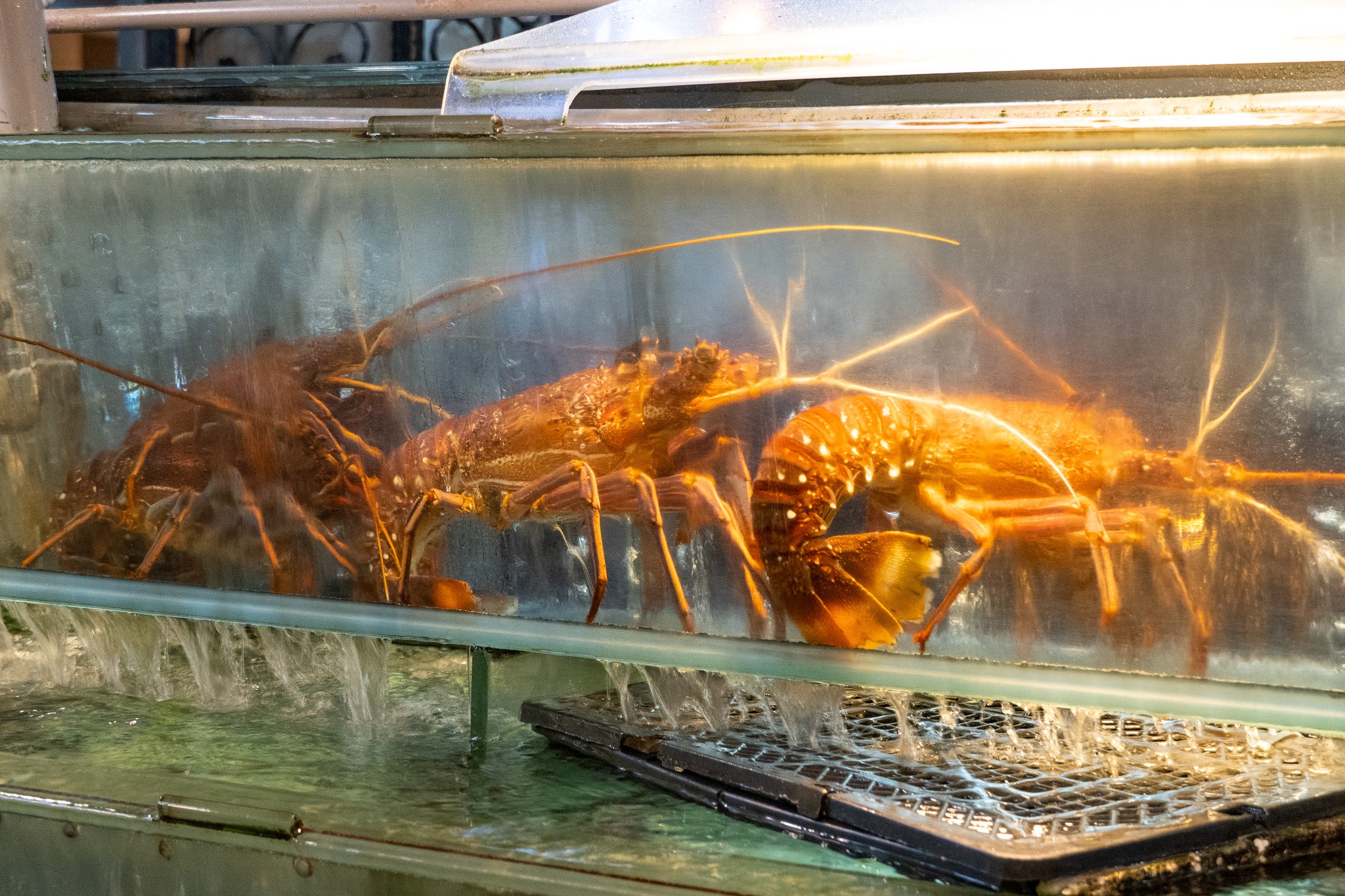 台中｜海產地美食餐廳｜台中老字號海鮮餐廳 30年的手路菜變成中秋限定禮盒