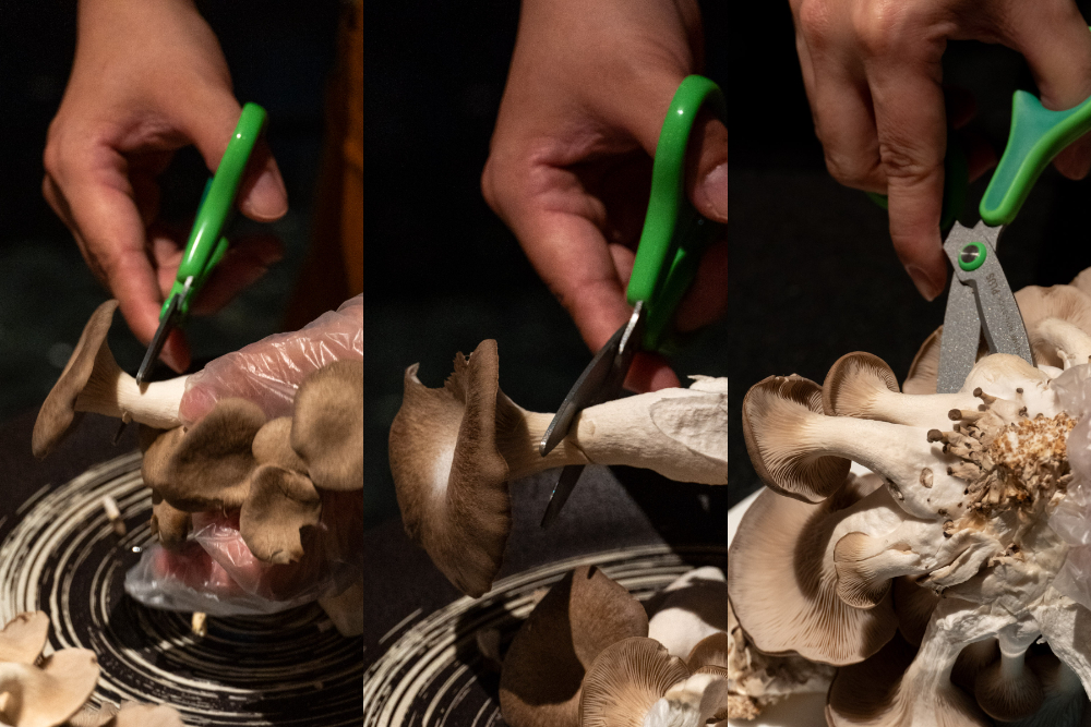 台北|撈王鍋物料理 信義ATT店|從胡椒豬肚雞的香氣開始 一煲四味的粵式火鍋 溫暖了全家的心 台北|撈王鍋物料理 信義ATT店|從胡椒豬肚雞的香氣開始 一煲四味的粵式火鍋 溫暖了全家的心