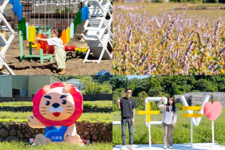 苗栗｜2025苗栗獅潭仙草花節 獅潭花饗宴｜浪漫獅潭 花海正開　屬於冬天的粉紫饗宴