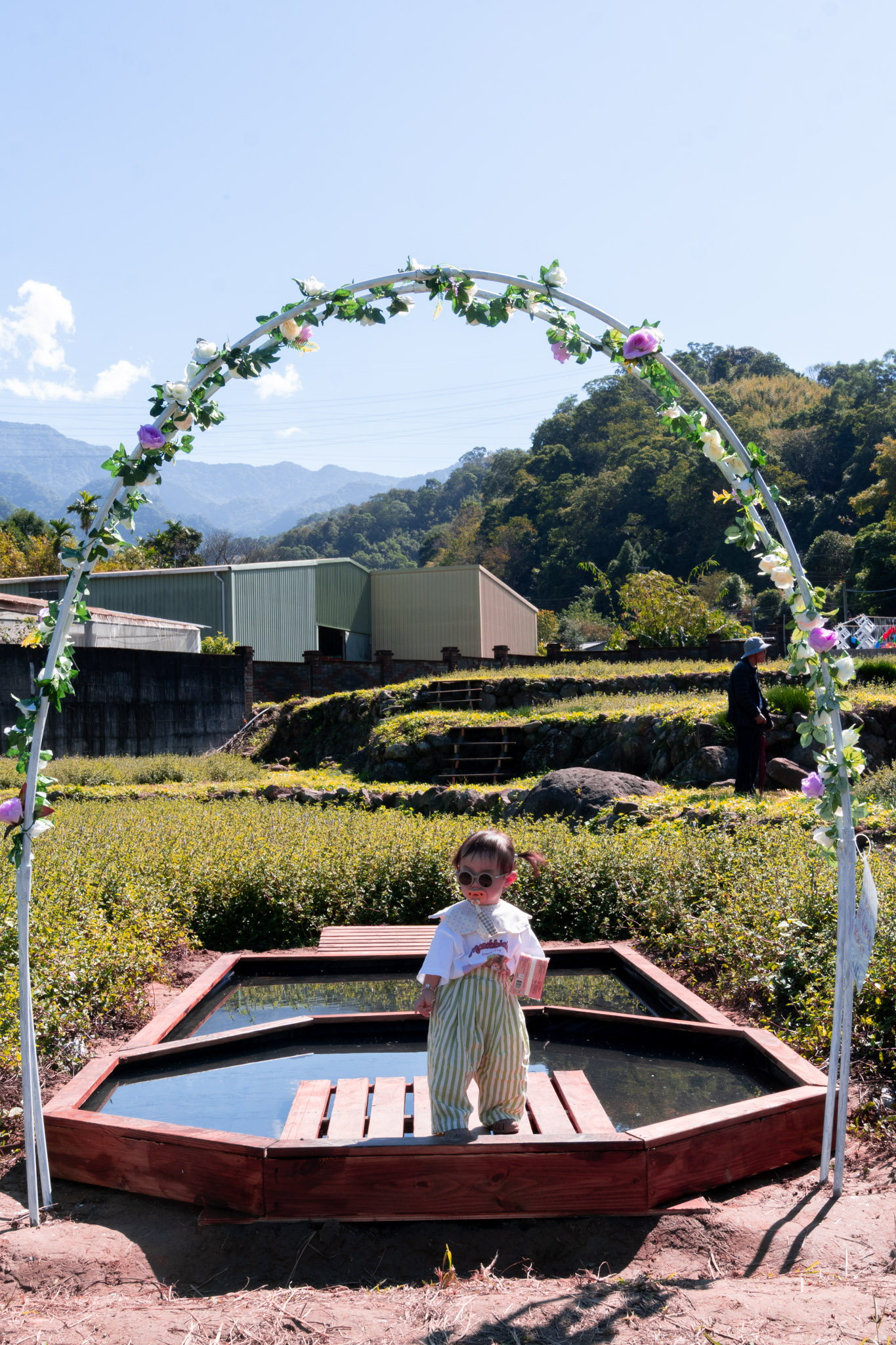 苗栗｜2025苗栗獅潭仙草花節 獅潭花饗宴｜浪漫獅潭 花海正開　屬於冬天的粉紫饗宴