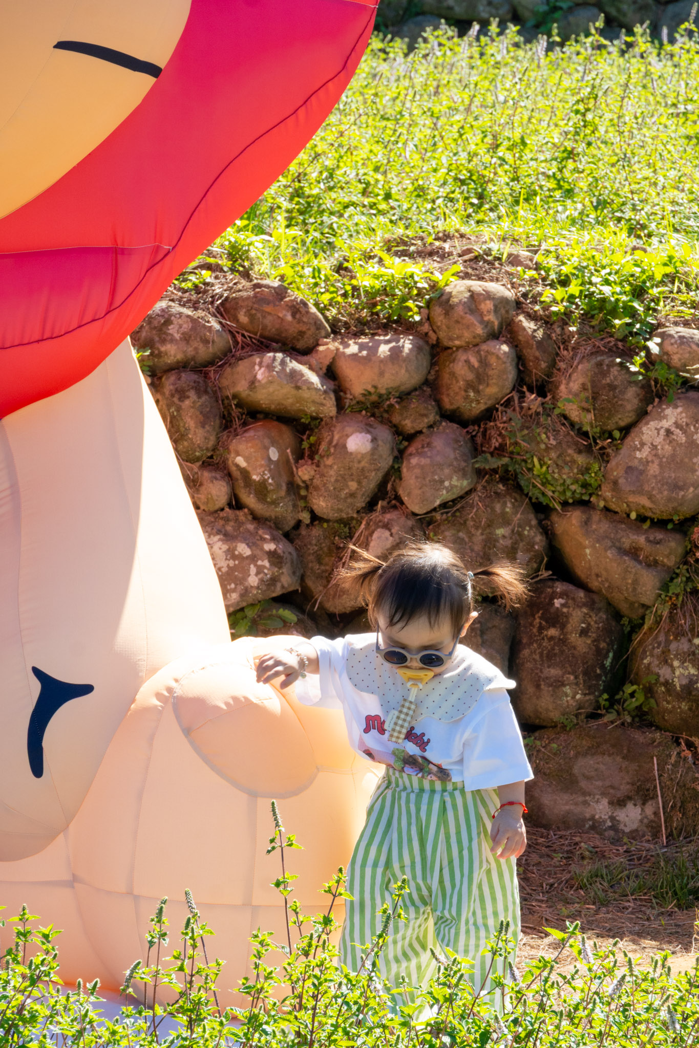 苗栗｜2025苗栗獅潭仙草花節 獅潭花饗宴｜浪漫獅潭 花海正開　屬於冬天的粉紫饗宴
