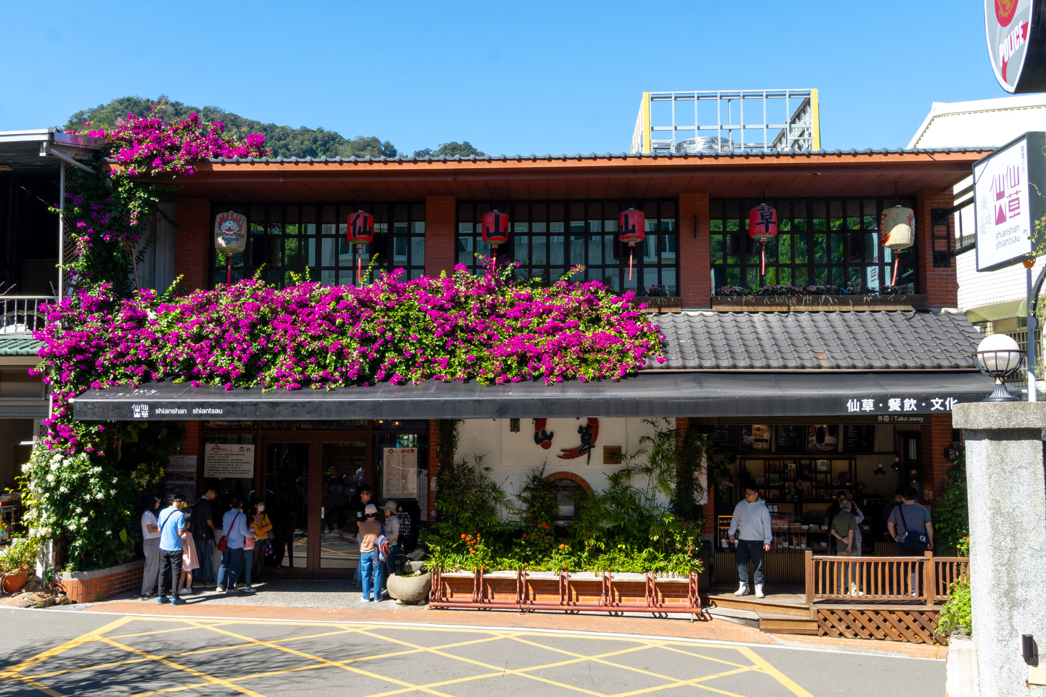 苗栗｜2025苗栗獅潭仙草花節 獅潭花饗宴｜浪漫獅潭 花海正開　屬於冬天的粉紫饗宴