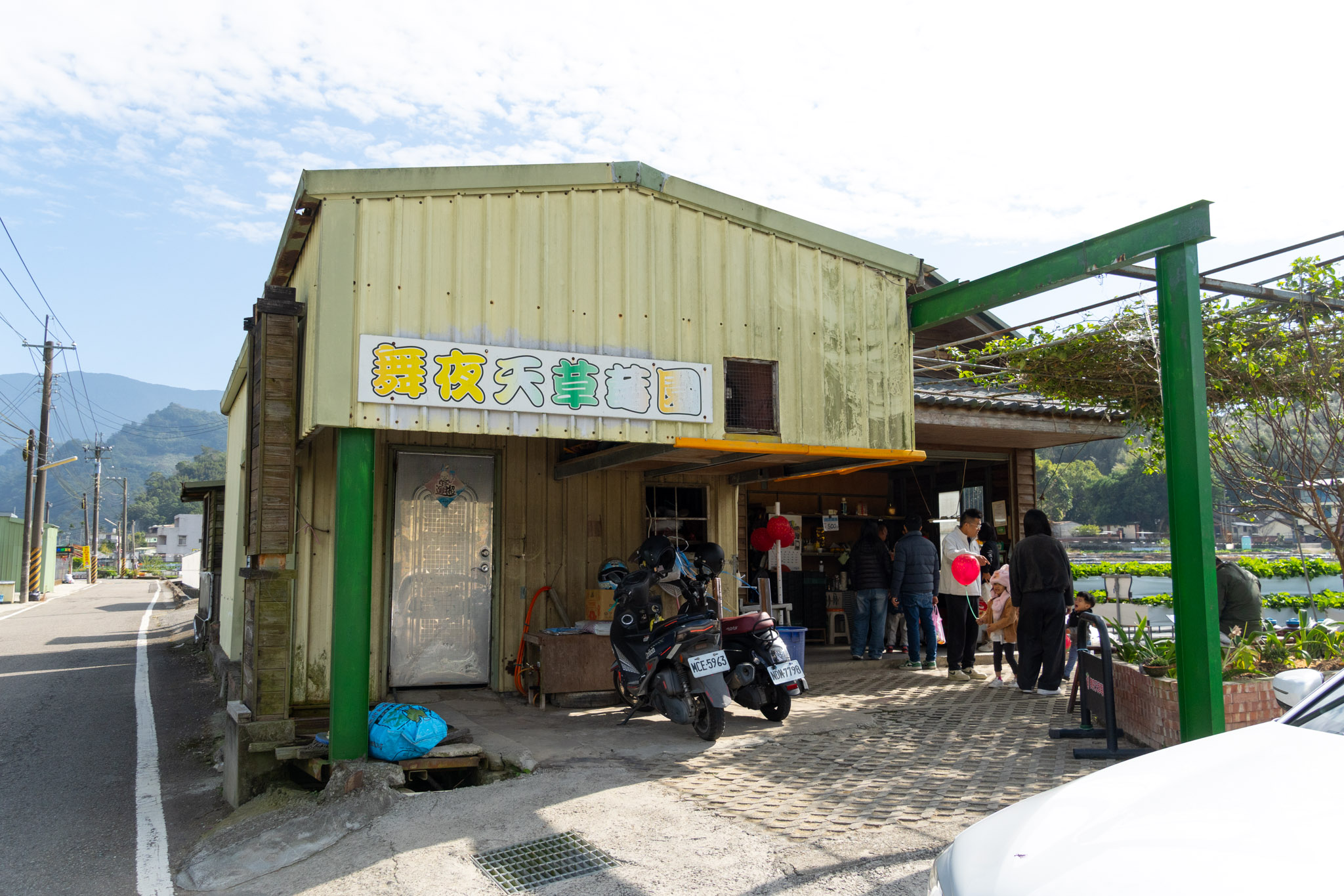 苗栗｜舞夜天高架草莓園｜大湖高架草莓園推薦 停車方便 採果動線舒適不擁擠