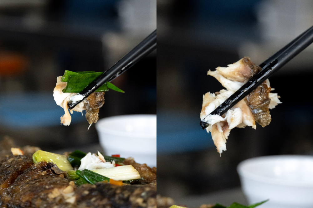 嘉義｜蕭老師火雞肉飯｜在地人必吃 全國雲端發票南區中量級第一名火雞肉片飯 晚來就吃不到